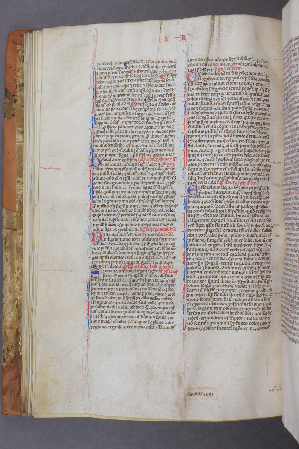Folio 39 verso